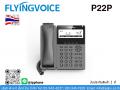 IP Phone
